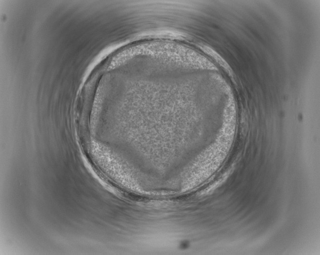 X0000085810989200704131942