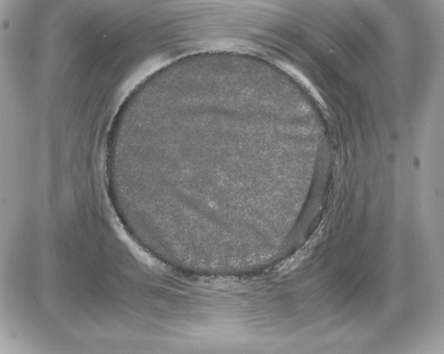 X0000085810991200704131942