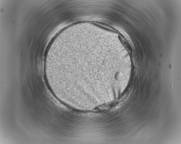 X0000085810992200704131942