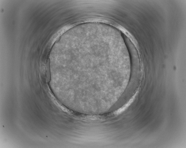 X0000085810993200704131942