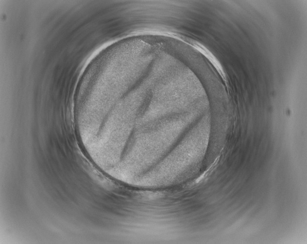 X0000085810996200704131942