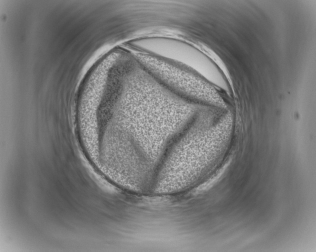 X0000085810997200704131942