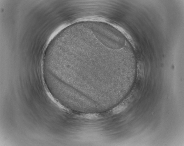 X0000085810998200704131942