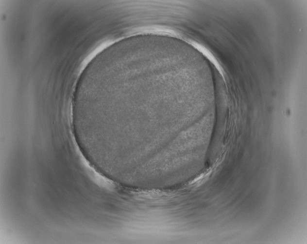 X0000085810999200704131942