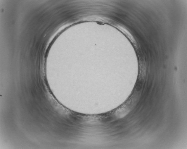 X0000085811000200704131942