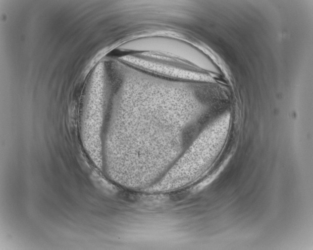 X0000085811001200704131942