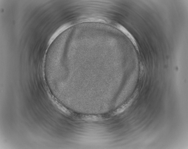 X0000085811002200704131942