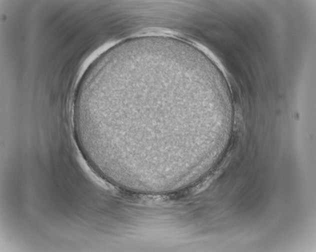 X0000085811003200704131942