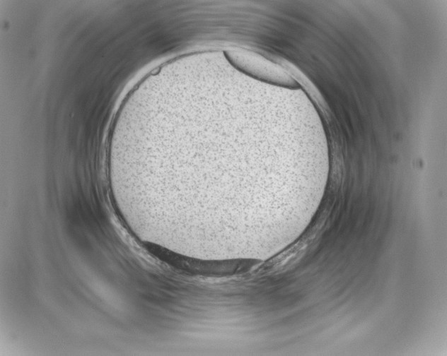 X0000085811004200704131942