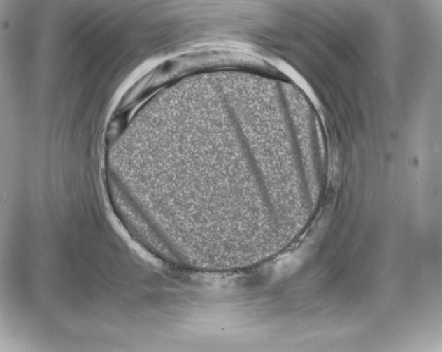 X0000085811005200704131942