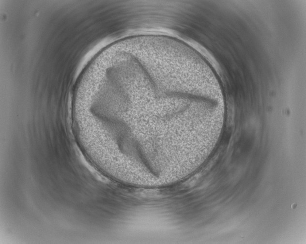 X0000085811006200704131942