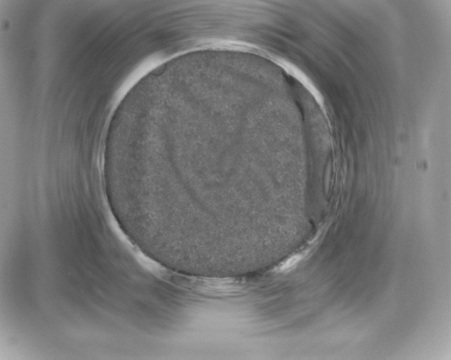 X0000085811007200704131942