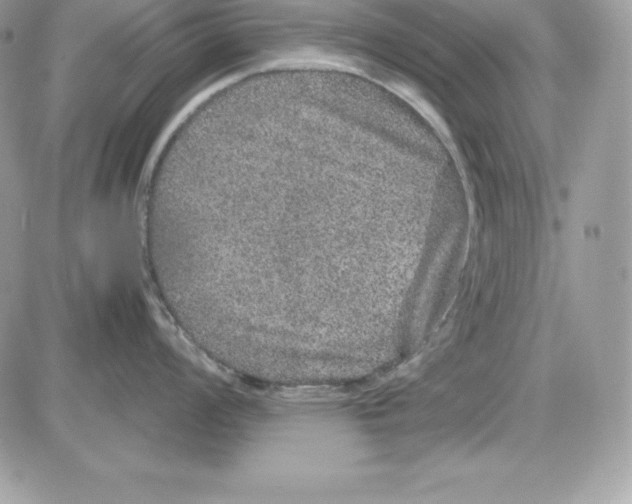 X0000085811008200704131941