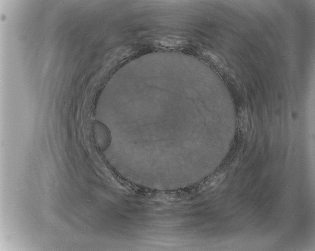 X0000085811009200704131941