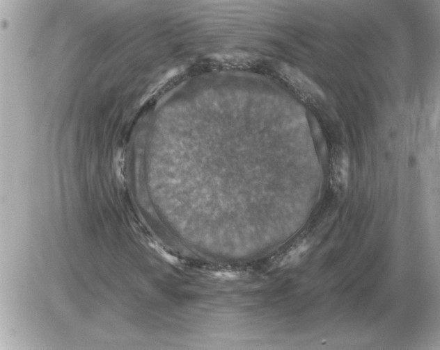 X0000085811010200704131941