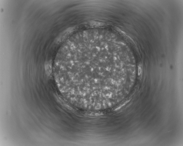 X0000085811011200704131941