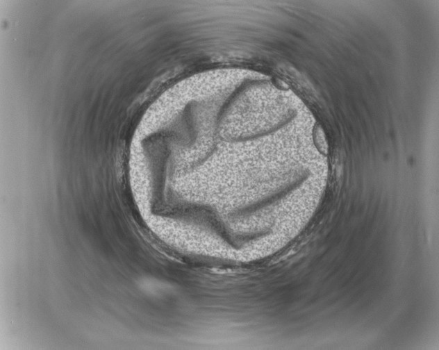 X0000085811012200704131941