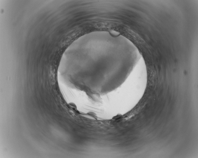 X0000085811013200704131941