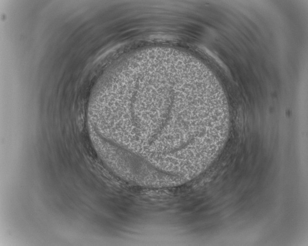 X0000085811015200704131941