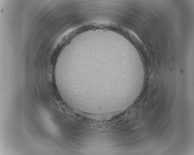 X0000085811016200704131941