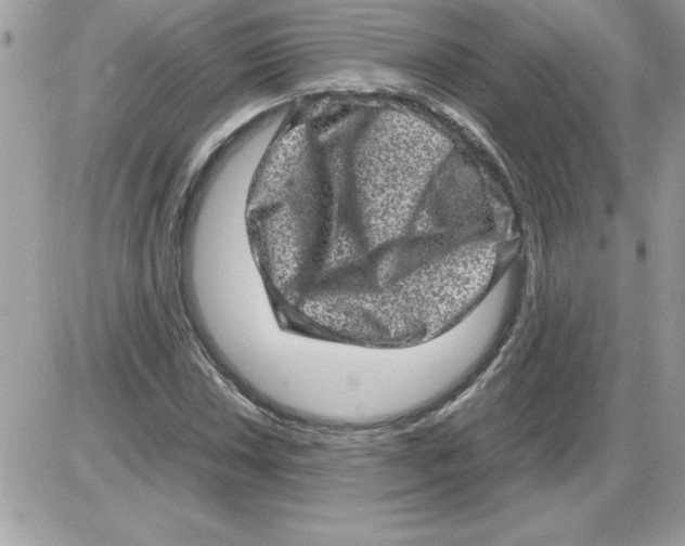 X0000085811018200704131941