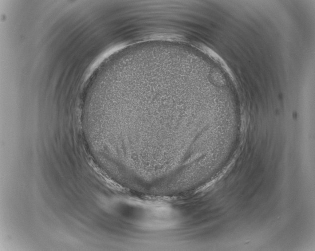 X0000085811019200704131941