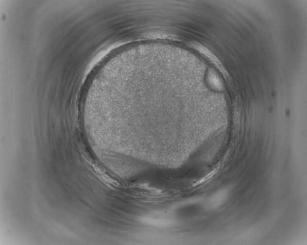 X0000085811023200704131941