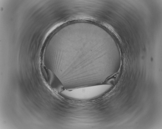 X0000085811024200704131941