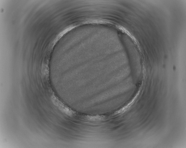 X0000085811025200704131941