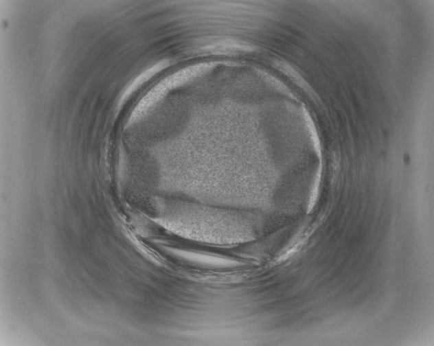 X0000085811026200704131941