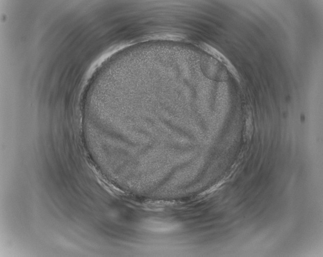 X0000085811027200704131941