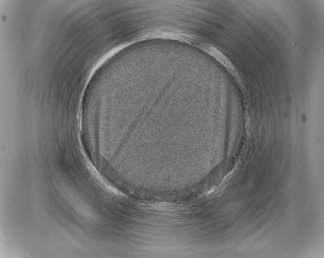 X0000085811028200704131941