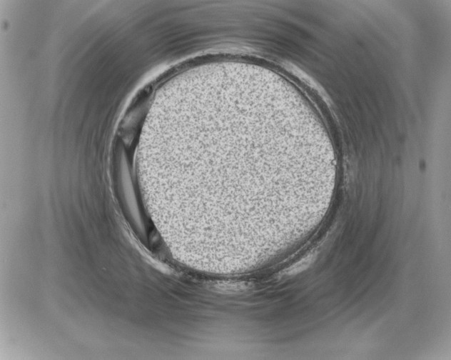 X0000085811029200704131941