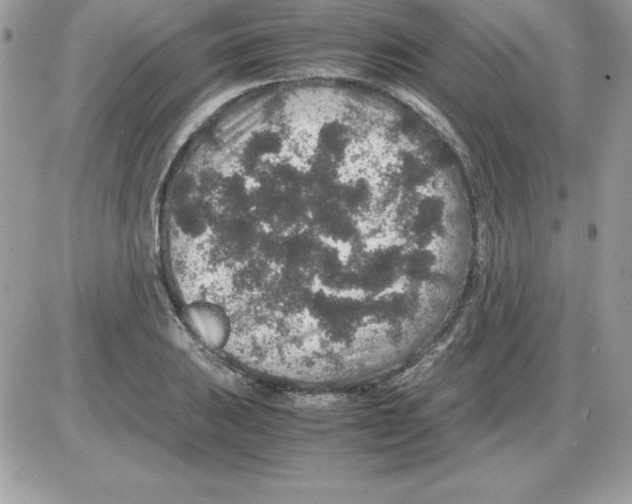 X0000085811031200704131941