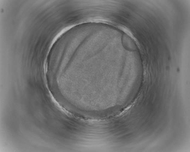 X0000085811032200704131941