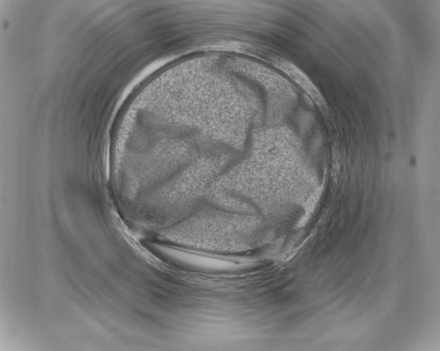 X0000085811036200704131941