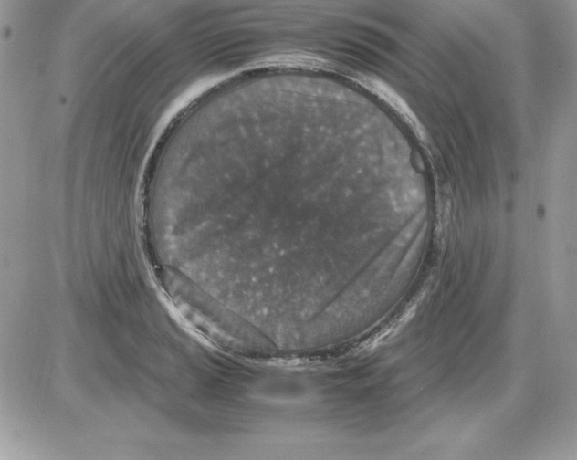 X0000085811037200704131941