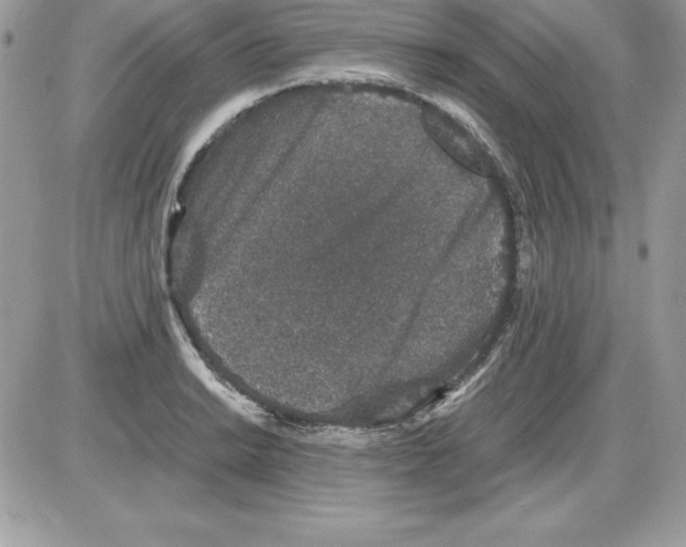 X0000085811038200704131941