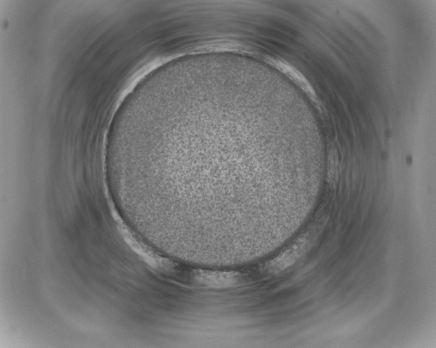 X0000085811039200704131941