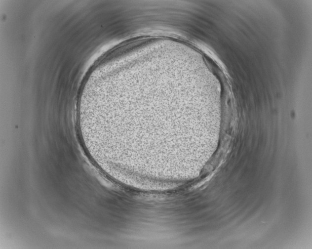 X0000085811040200704131941