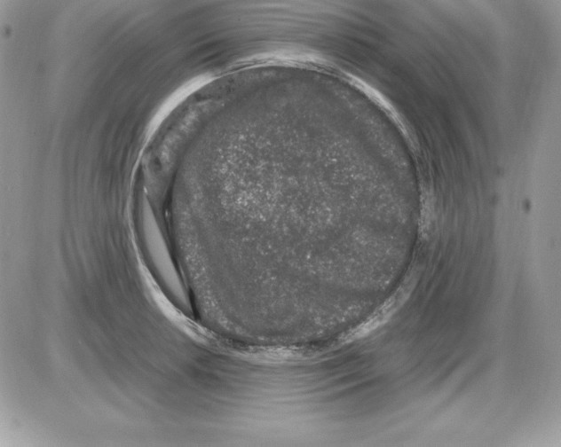 X0000085811042200704131941