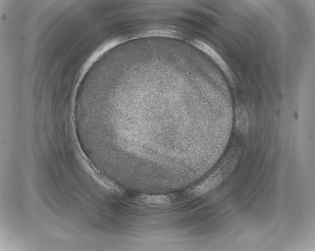 X0000085811043200704131941