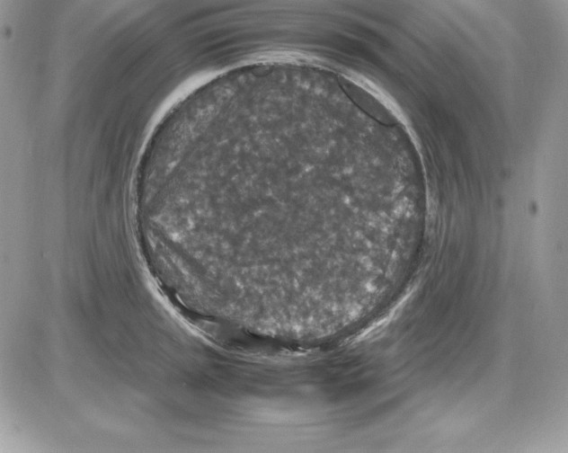 X0000085811045200704131941