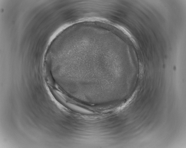 X0000085811046200704131941