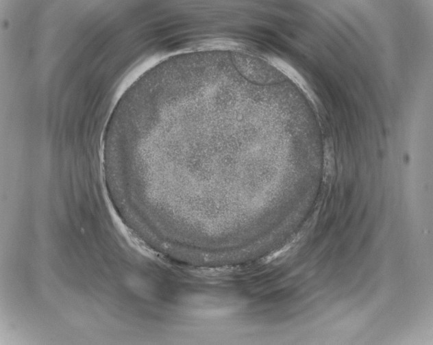 X0000085811047200704131941