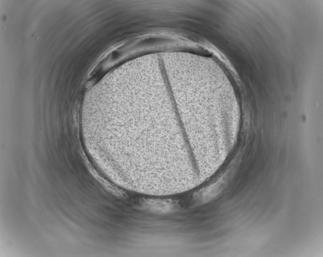 X0000085811049200704131941