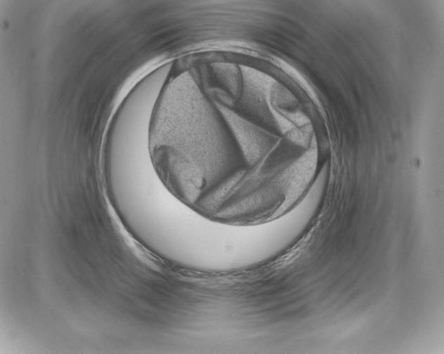 X0000085811050200704131941