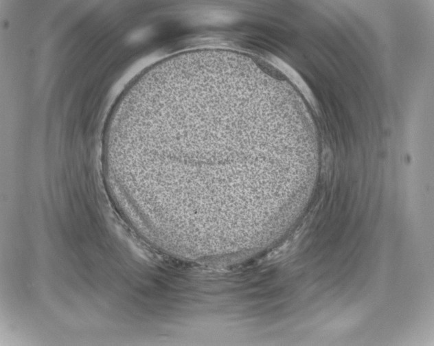 X0000085811051200704131941