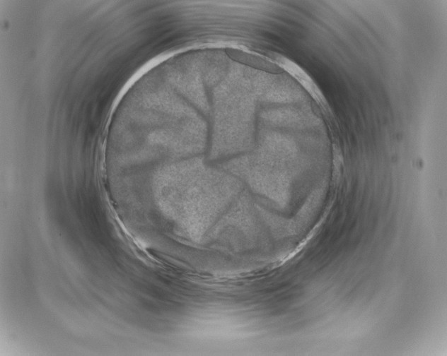 X0000085811052200704131941