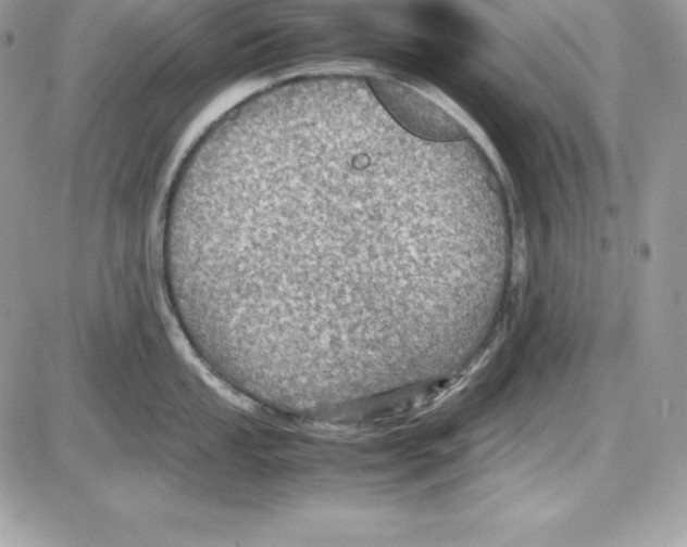 X0000085811053200704131941